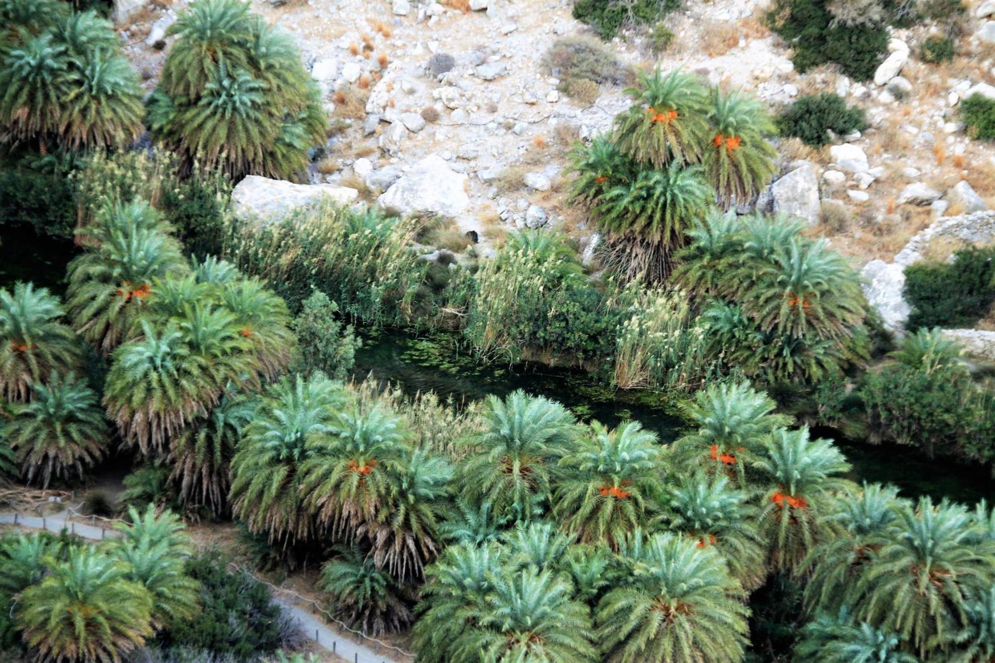 East Of Preveli Villas * Kerames