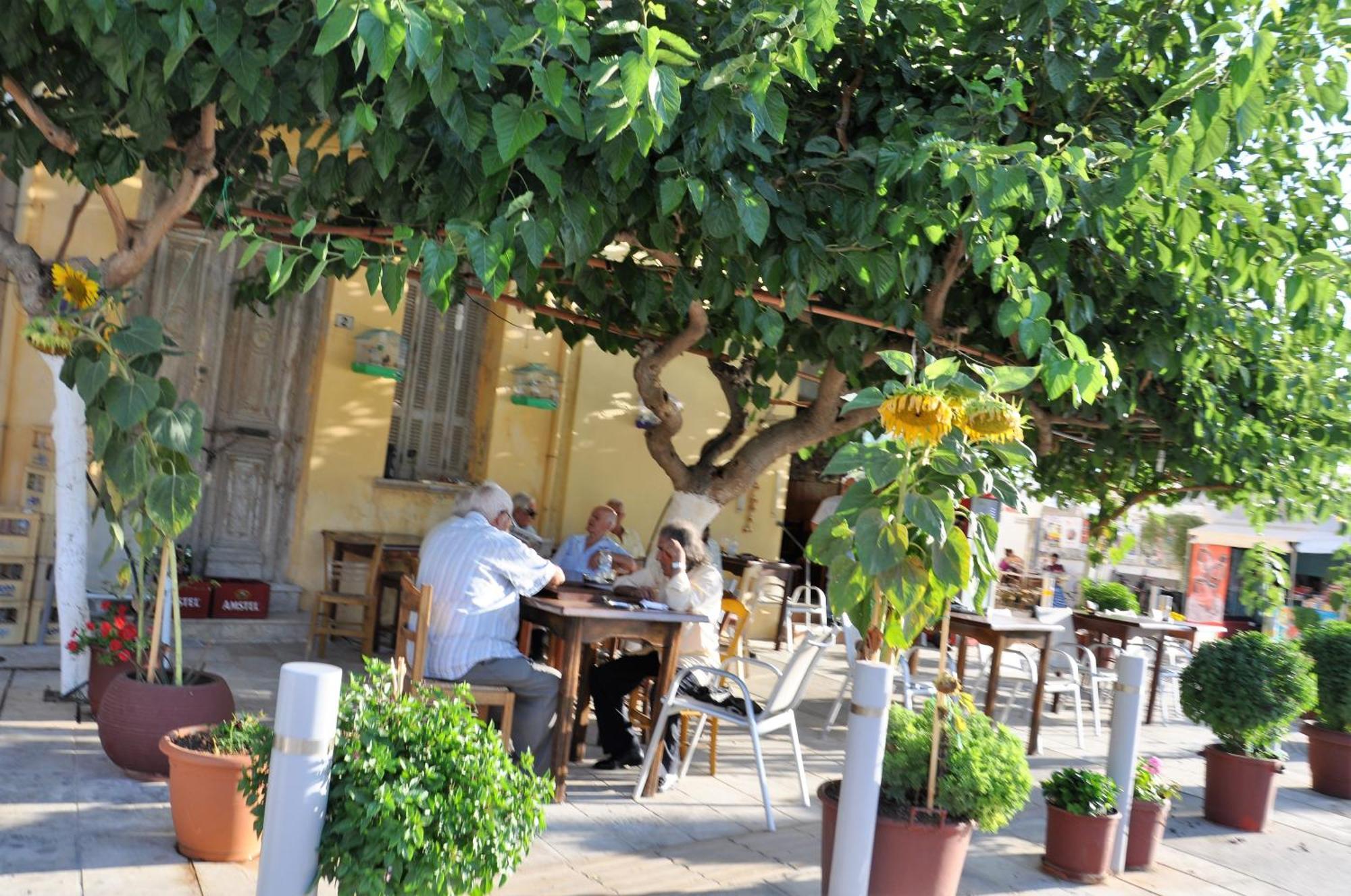 Villa East Of Preveli Villas Kerames