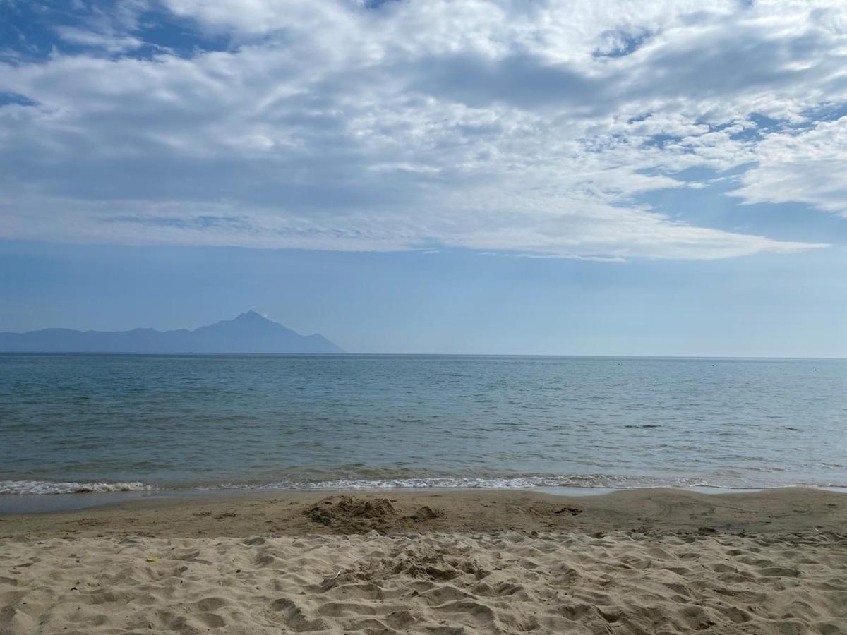 Konak Sarti Sarti