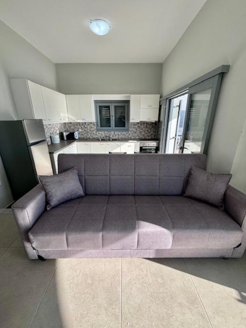 Three Olive Homes *