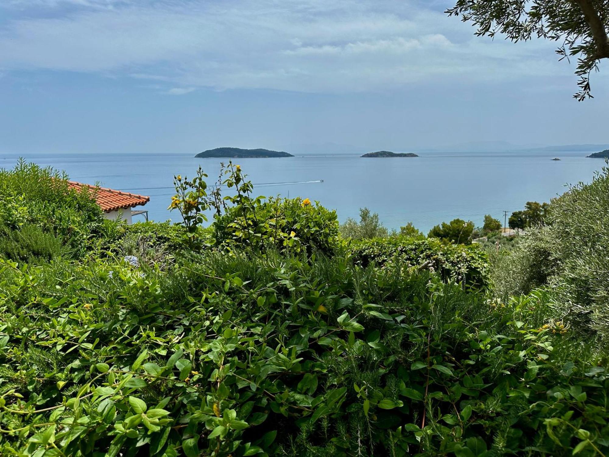 Athena Guest house Megali Ammos (Skiathos)