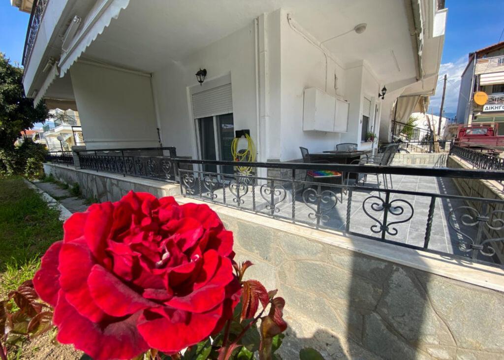 Veranda Paralia Ofriniou *