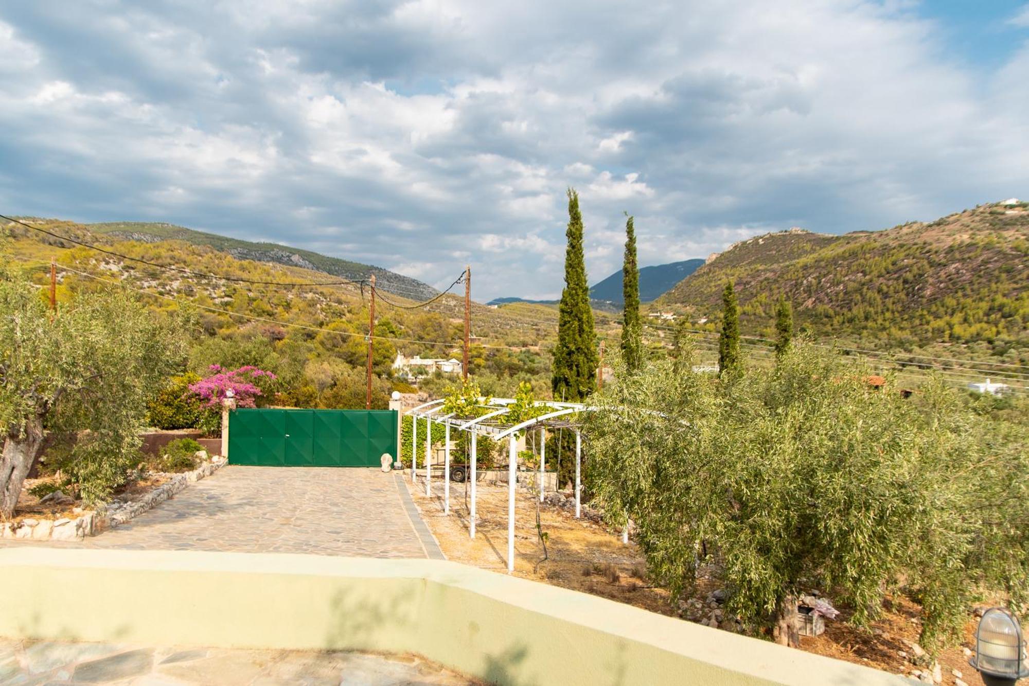 Marianne's Olive Grove Vouliagmeni Lake