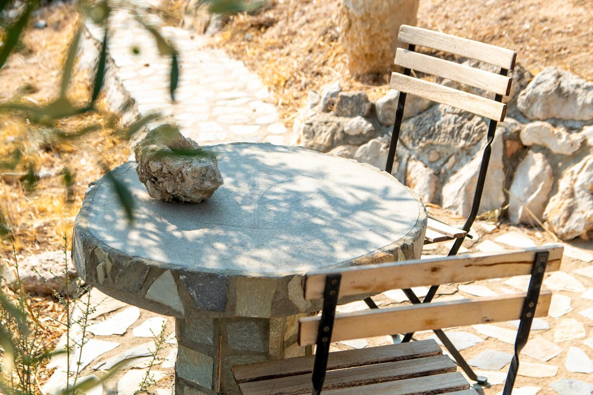 Marianne's Olive Grove *