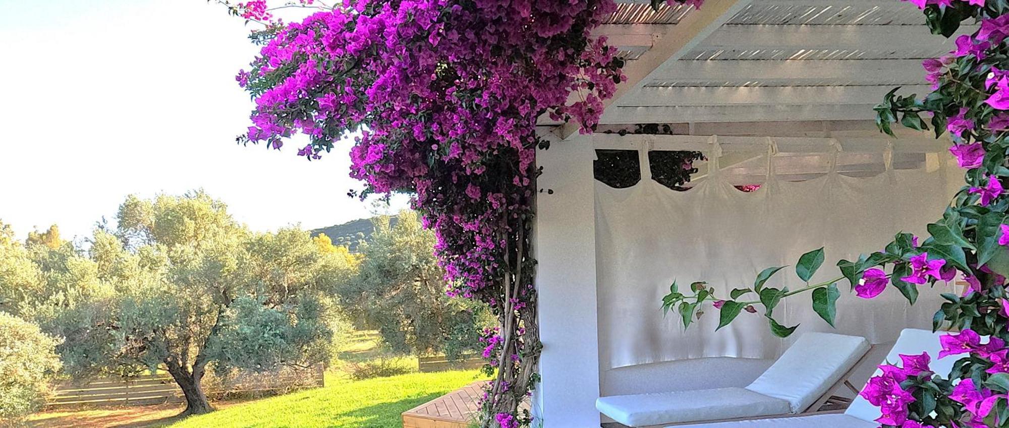 Hotel Olivemare 3*