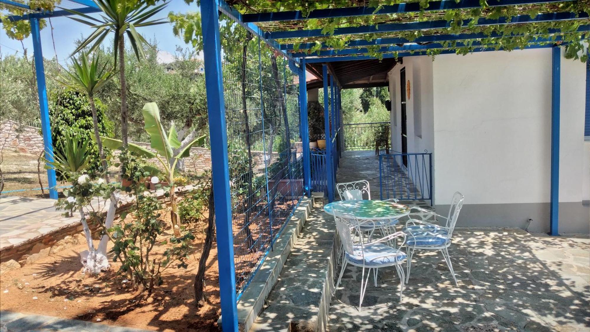 Margarita House *