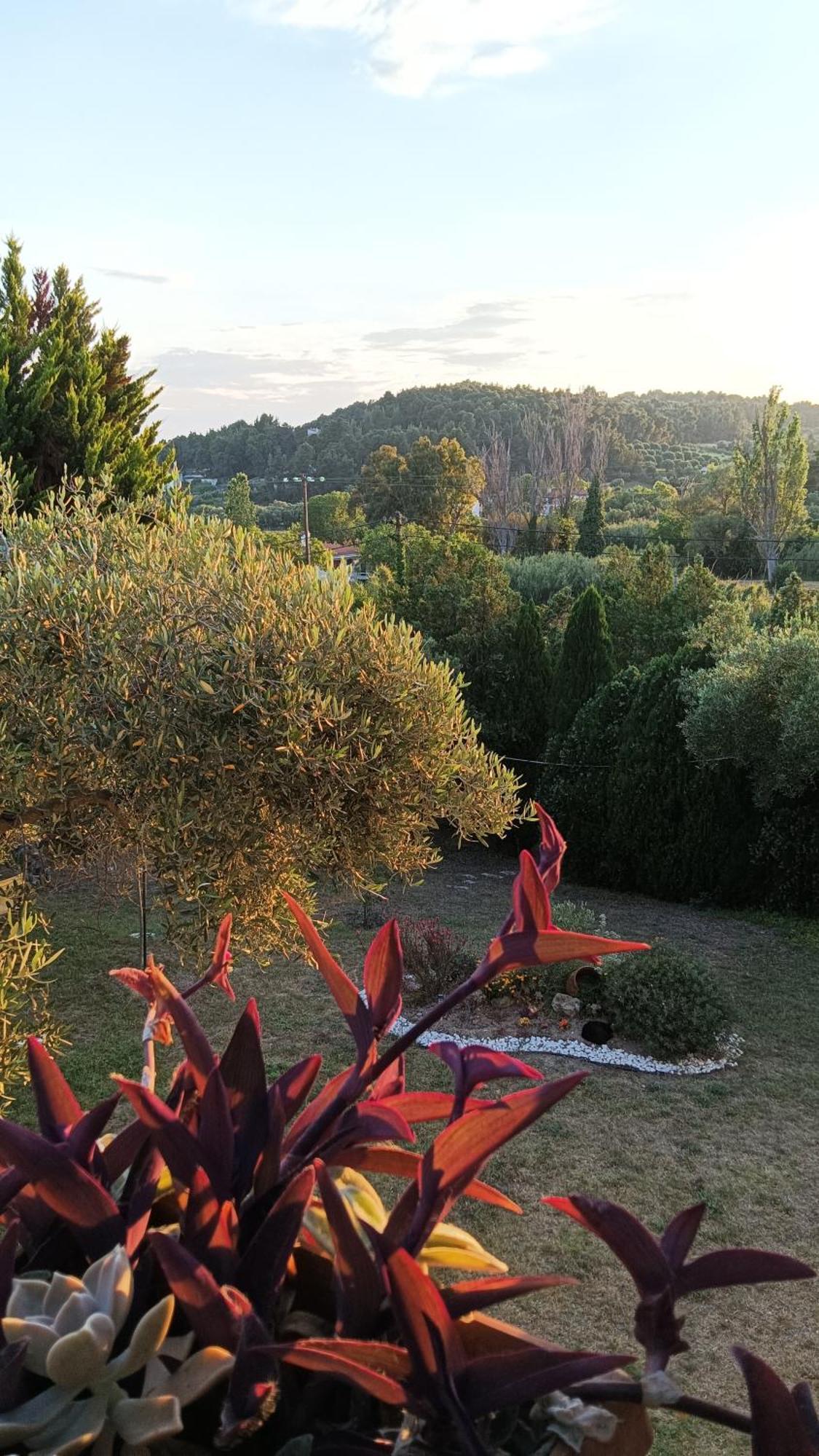 Possidi Family House With Parking, Garden And Ac Holiday home Kalandra