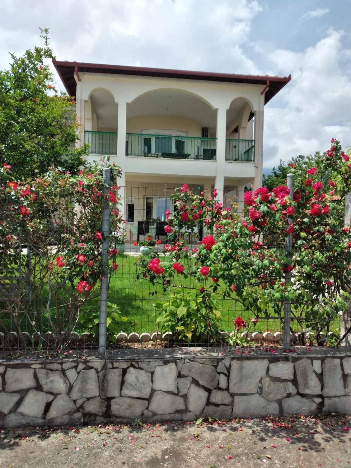 Jenny Apartment Leptokarya (Pieria)