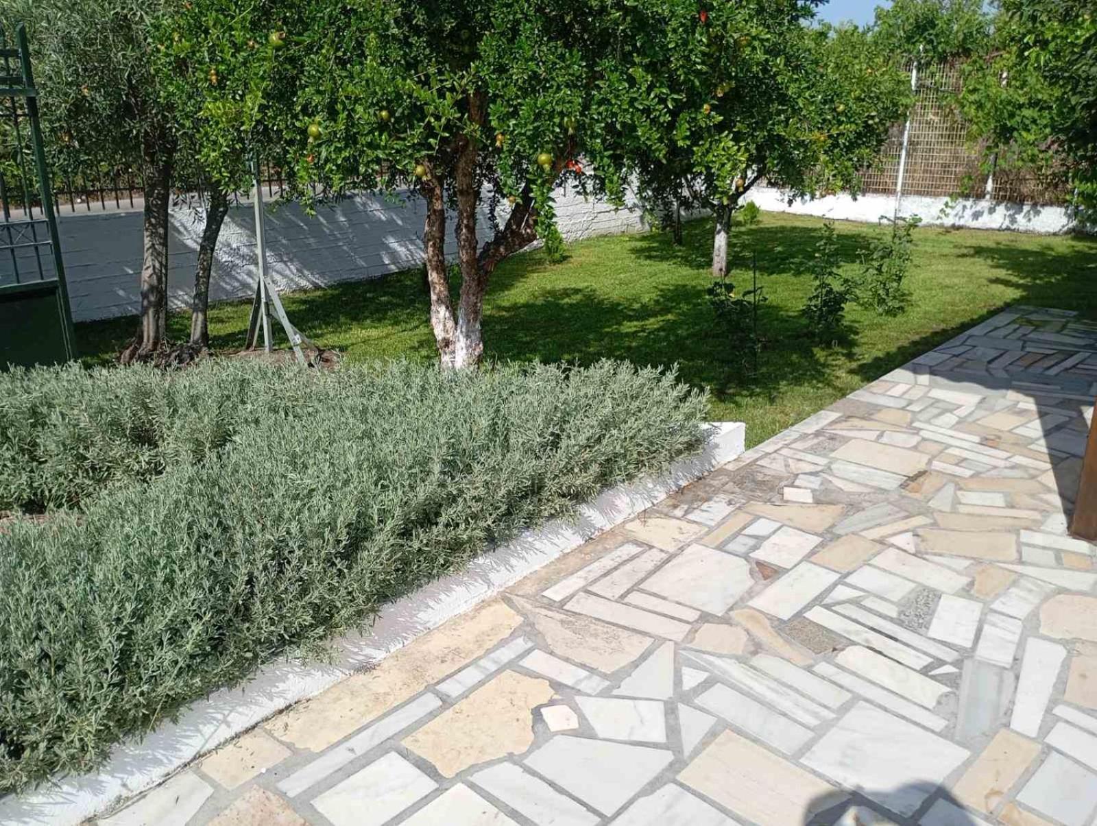 Villa Alex
