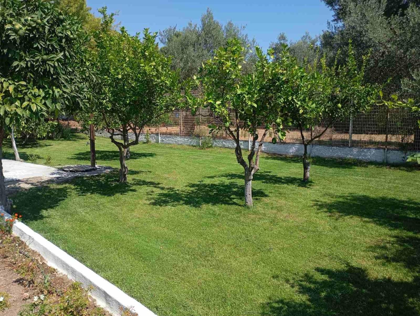 Villa Alex