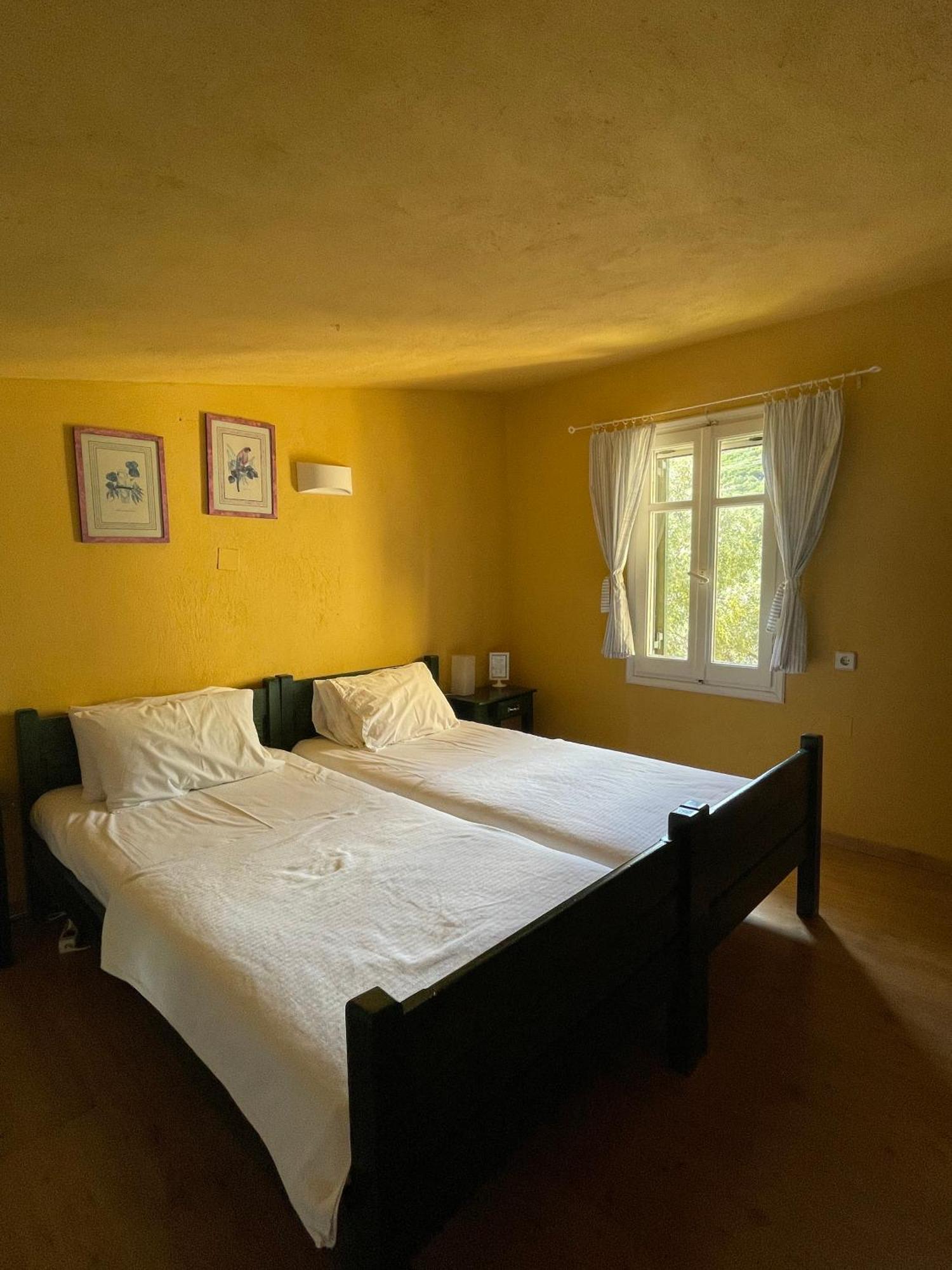 The Yellow Agios Nikolaos (Chalkidiki)