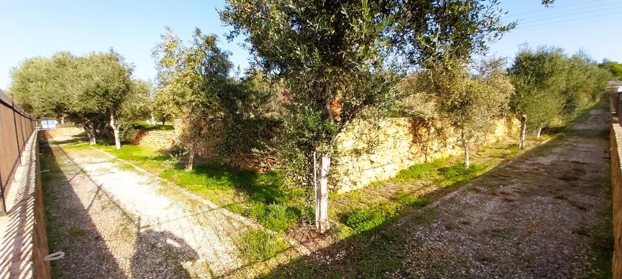 Villa Cosseri Rossa-dorothea And Cosseri Rossa-penelope, With Own Shared Pool *