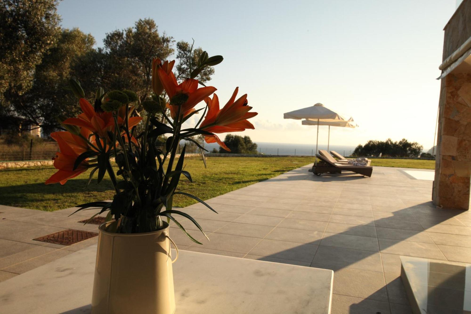 Darymine Villa