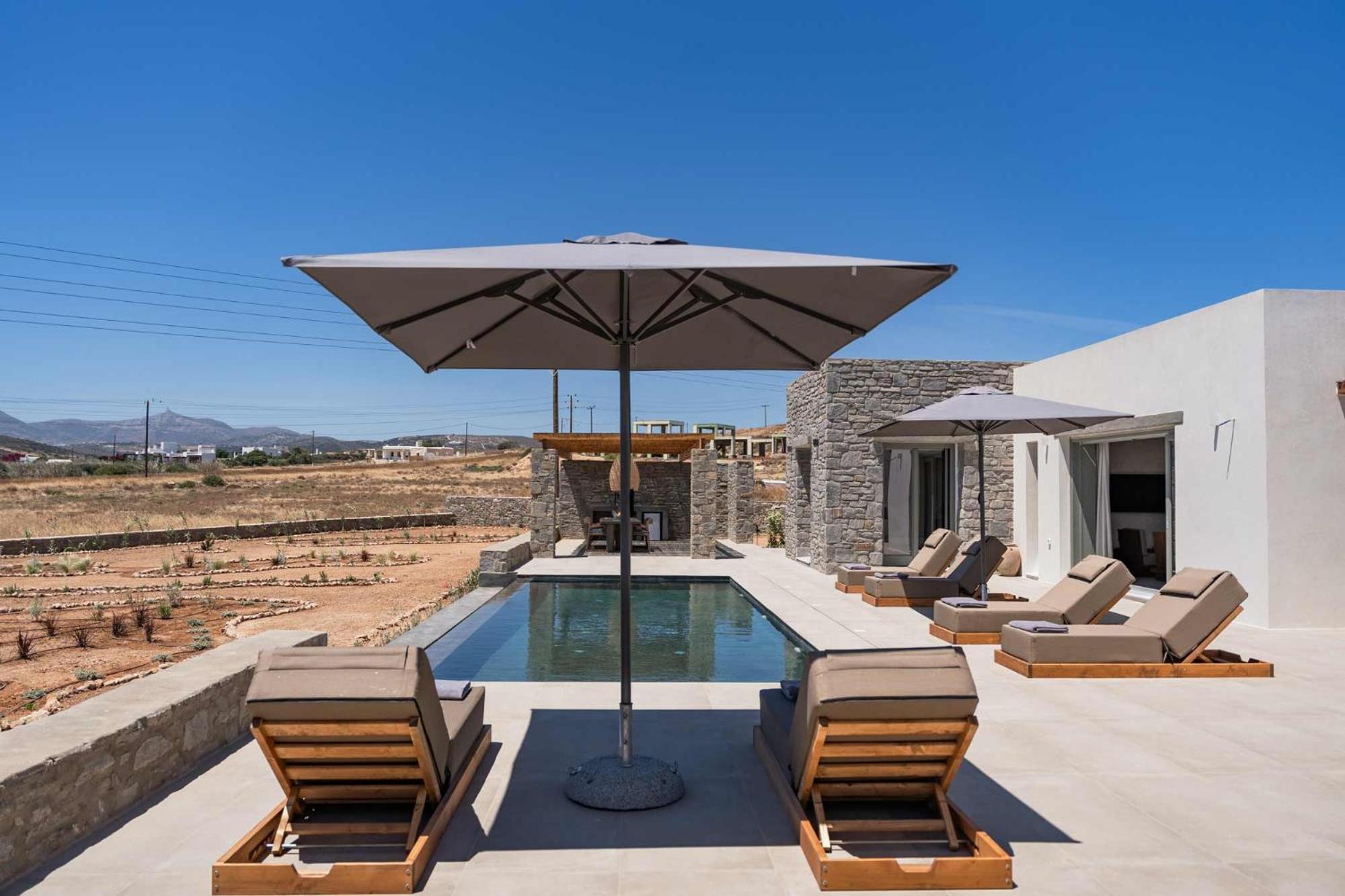 Phoenix With Private Pool & Sea Views Near Naousa Villa