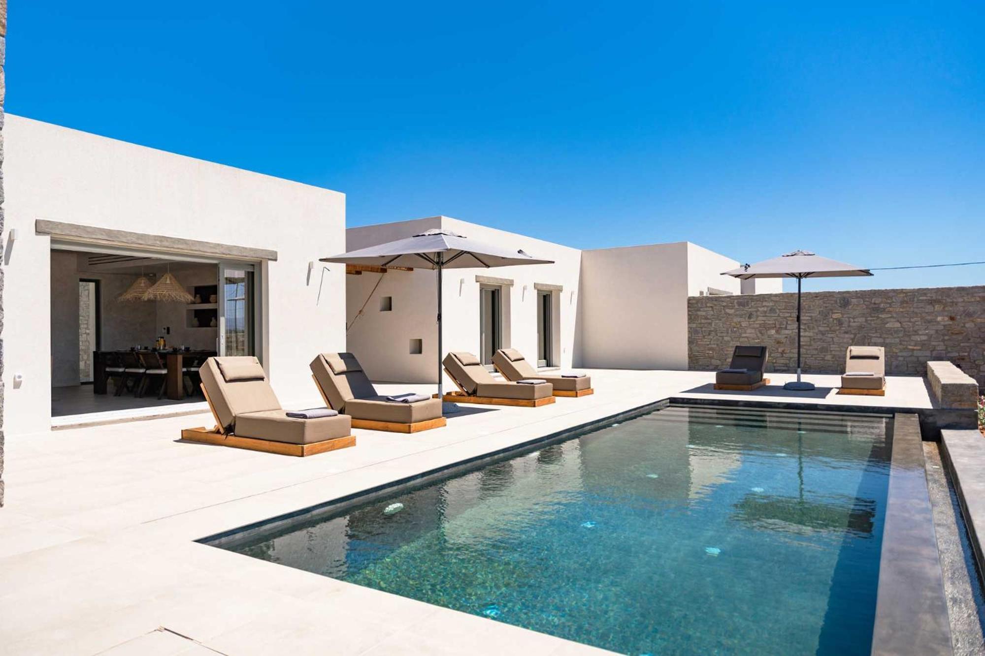 Phoenix With Private Pool & Sea Views Near Naousa Villa *