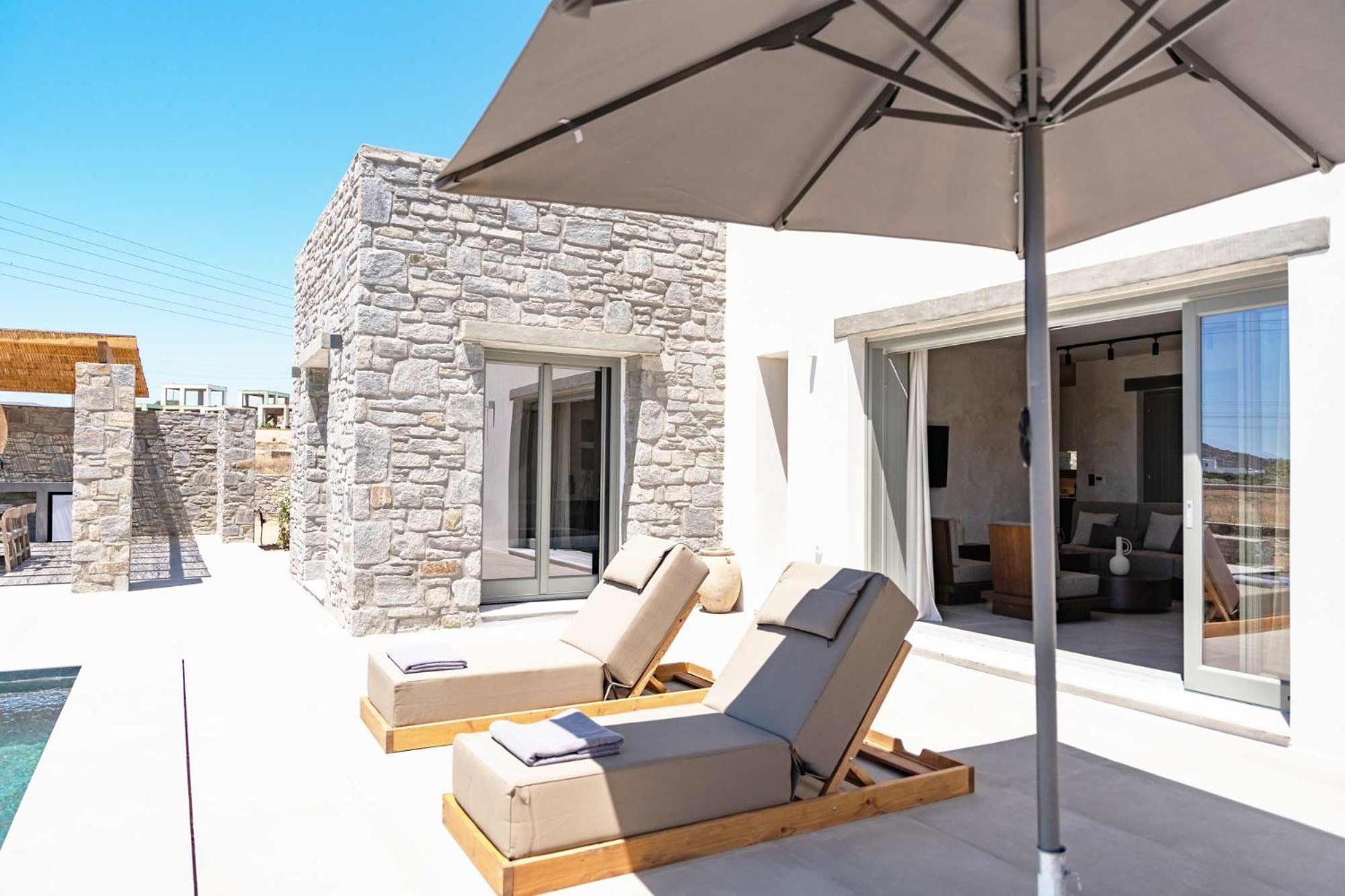 Phoenix With Private Pool & Sea Views Near Naousa Ambelas