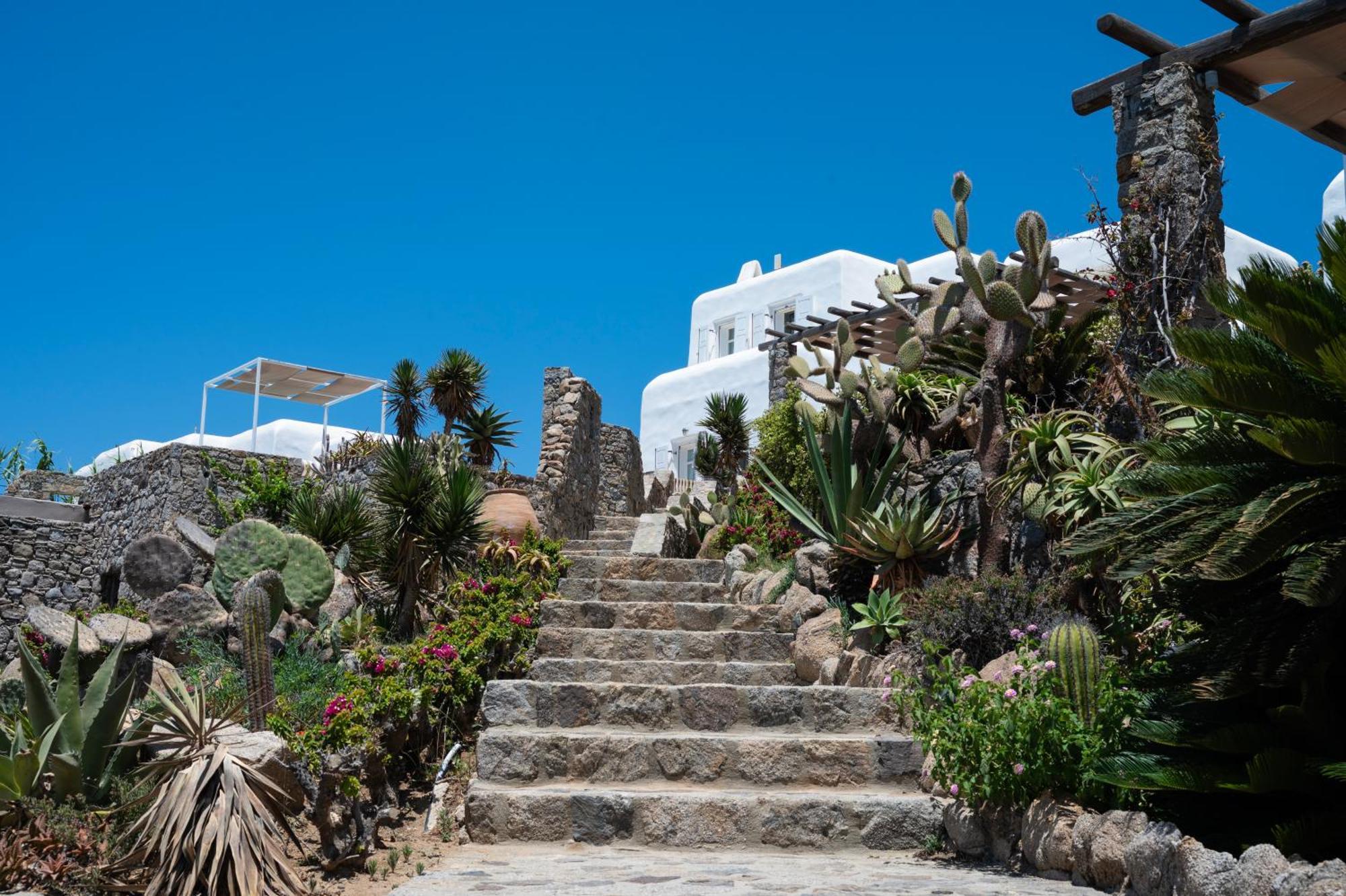 Villa Alisahnea Mykonos