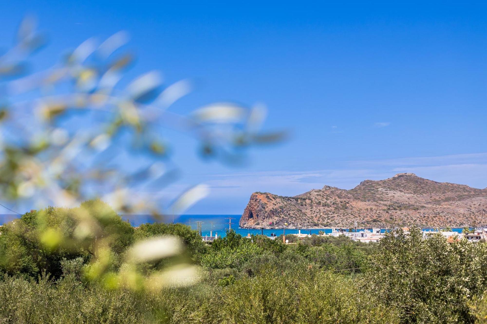 Agia Marina Comfort House * Nea Kydonia (Crete)