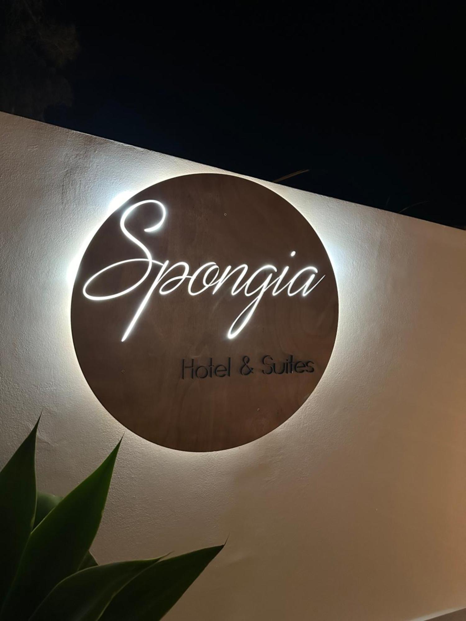 Spongia & 4*