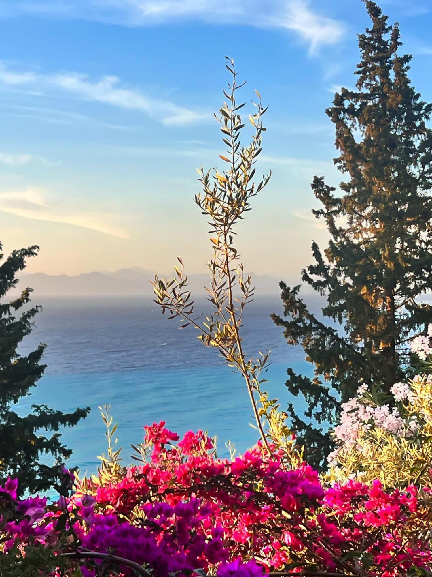 Myrto Homes Lefkada Greece Apartment