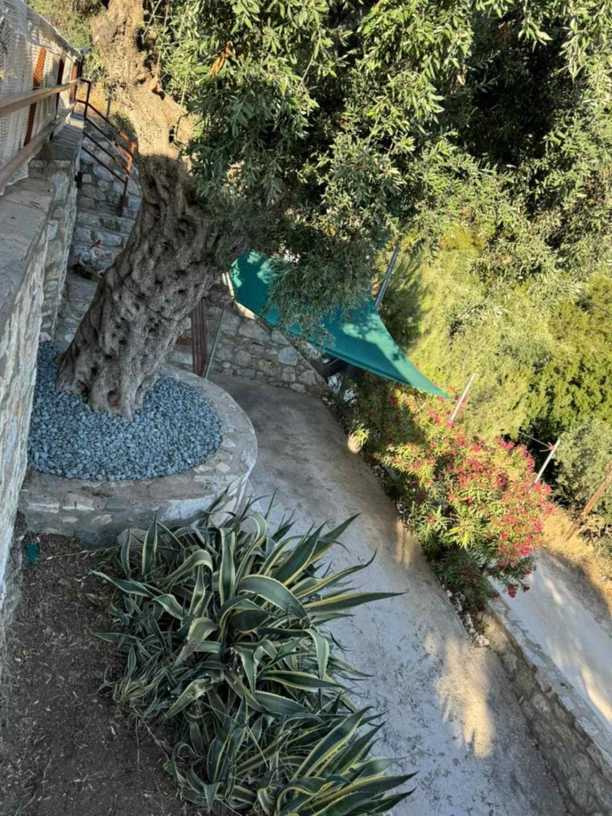Villa Waterview