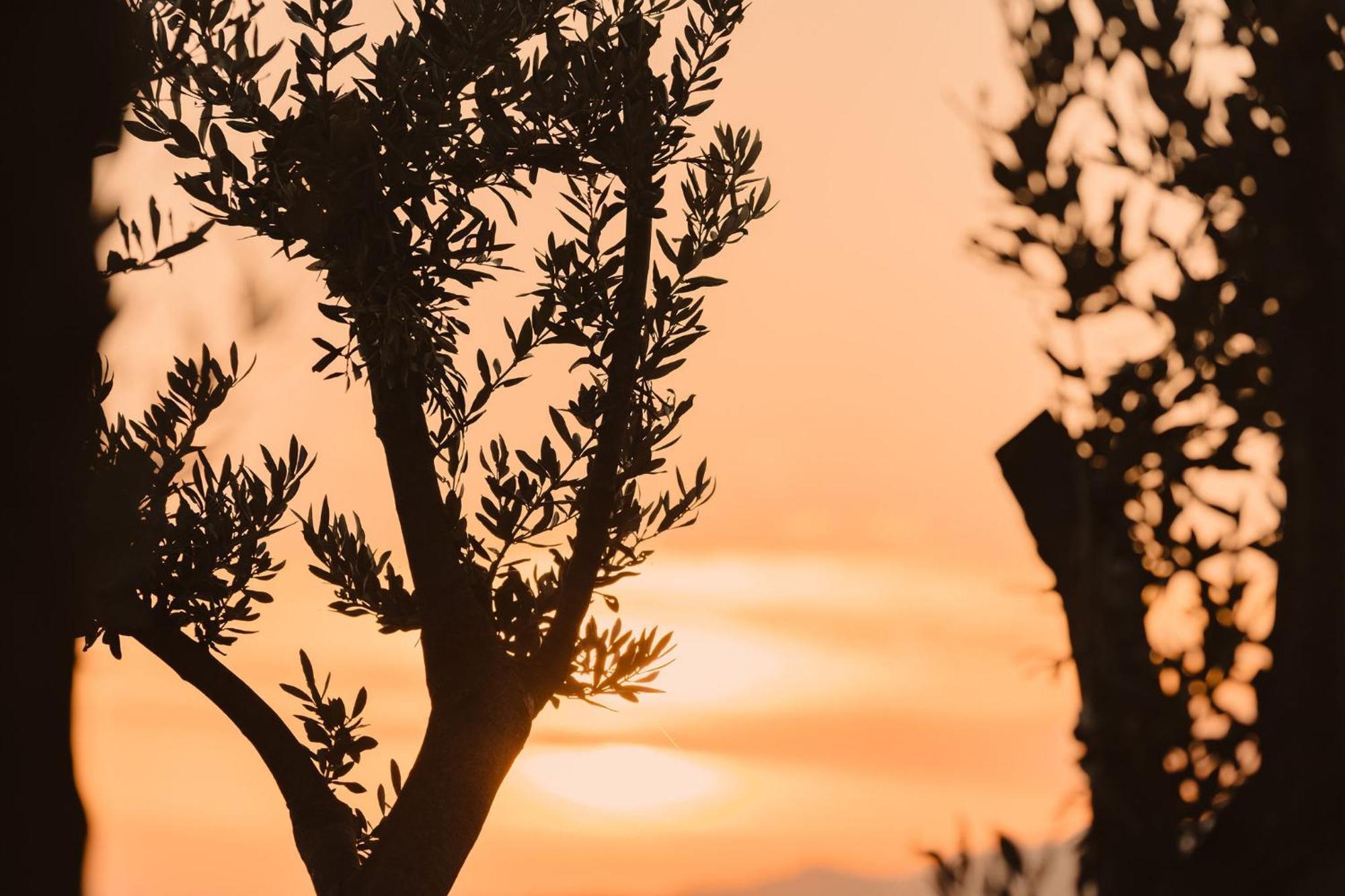 Holiday home Lea Mikri Vigla Naxos City