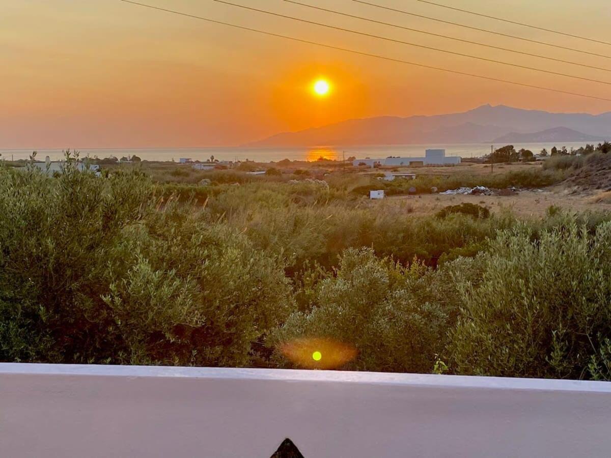 Gorgeous White Marsis In Paros *