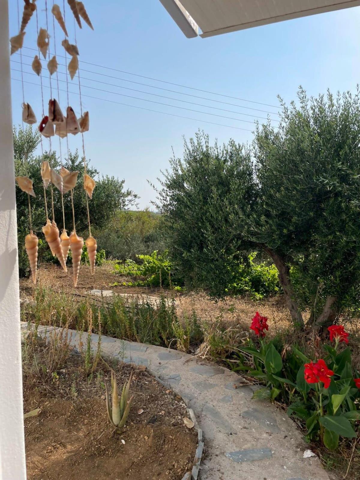 Apartment Gorgeous White Marsis In Paros *