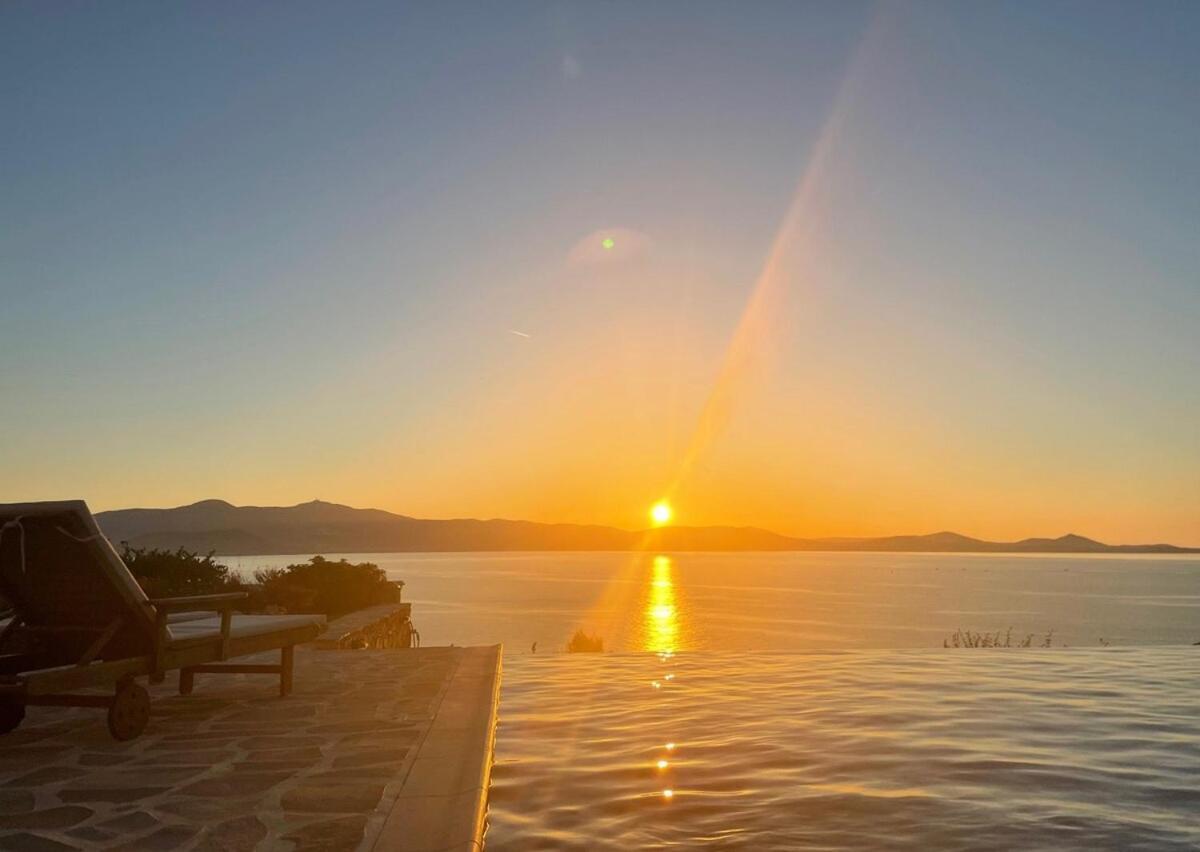 Elanora Stelida (Naxos)
