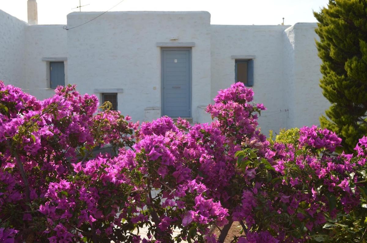 Seaview Apartment Ambelas