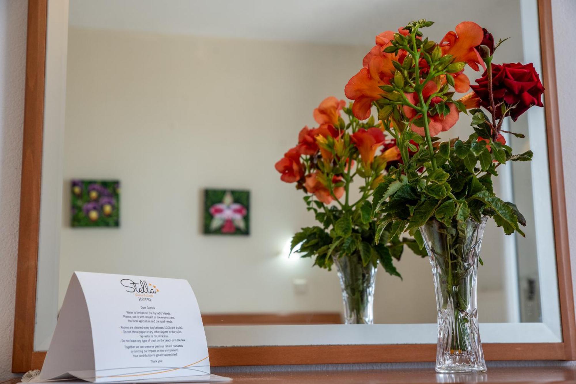 Stella Naxos Island Aparthotel 3*