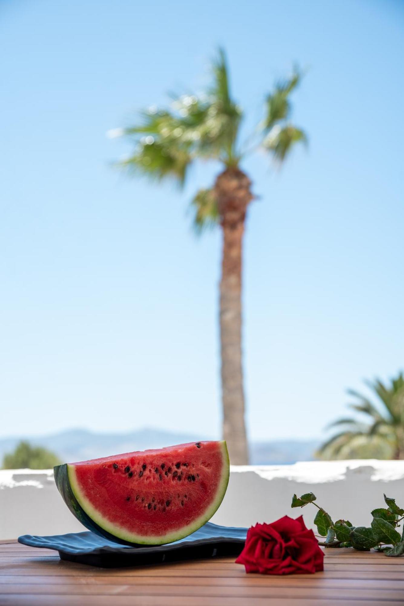 Aparthotel Stella Naxos Island Agia Anna (Naxos)