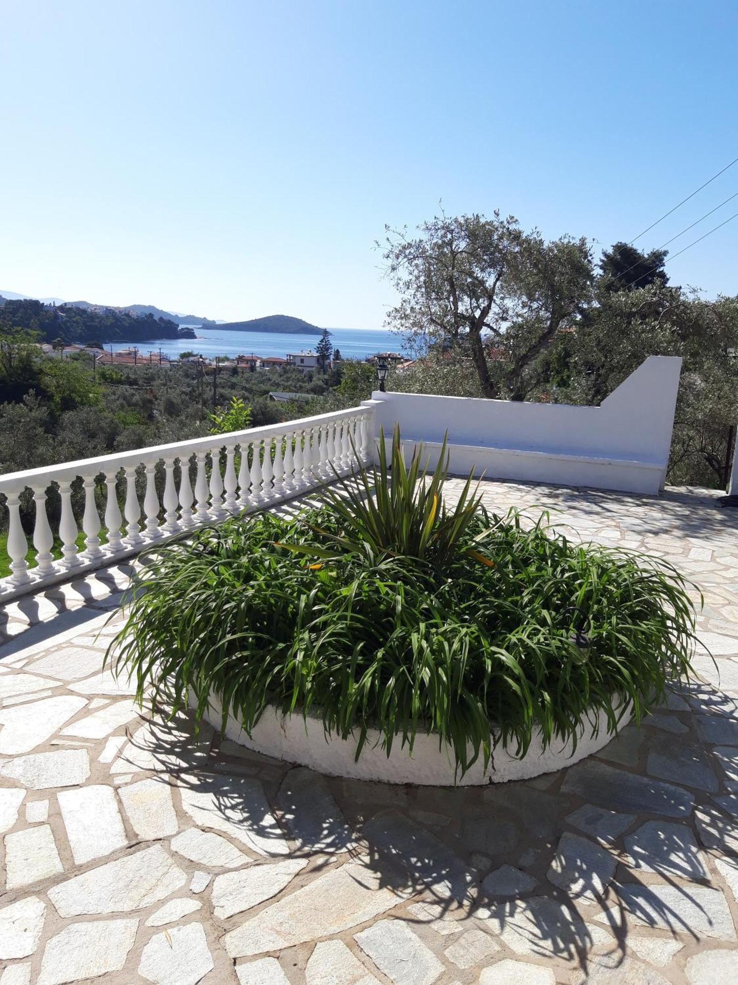 Olive Grove View Apartment