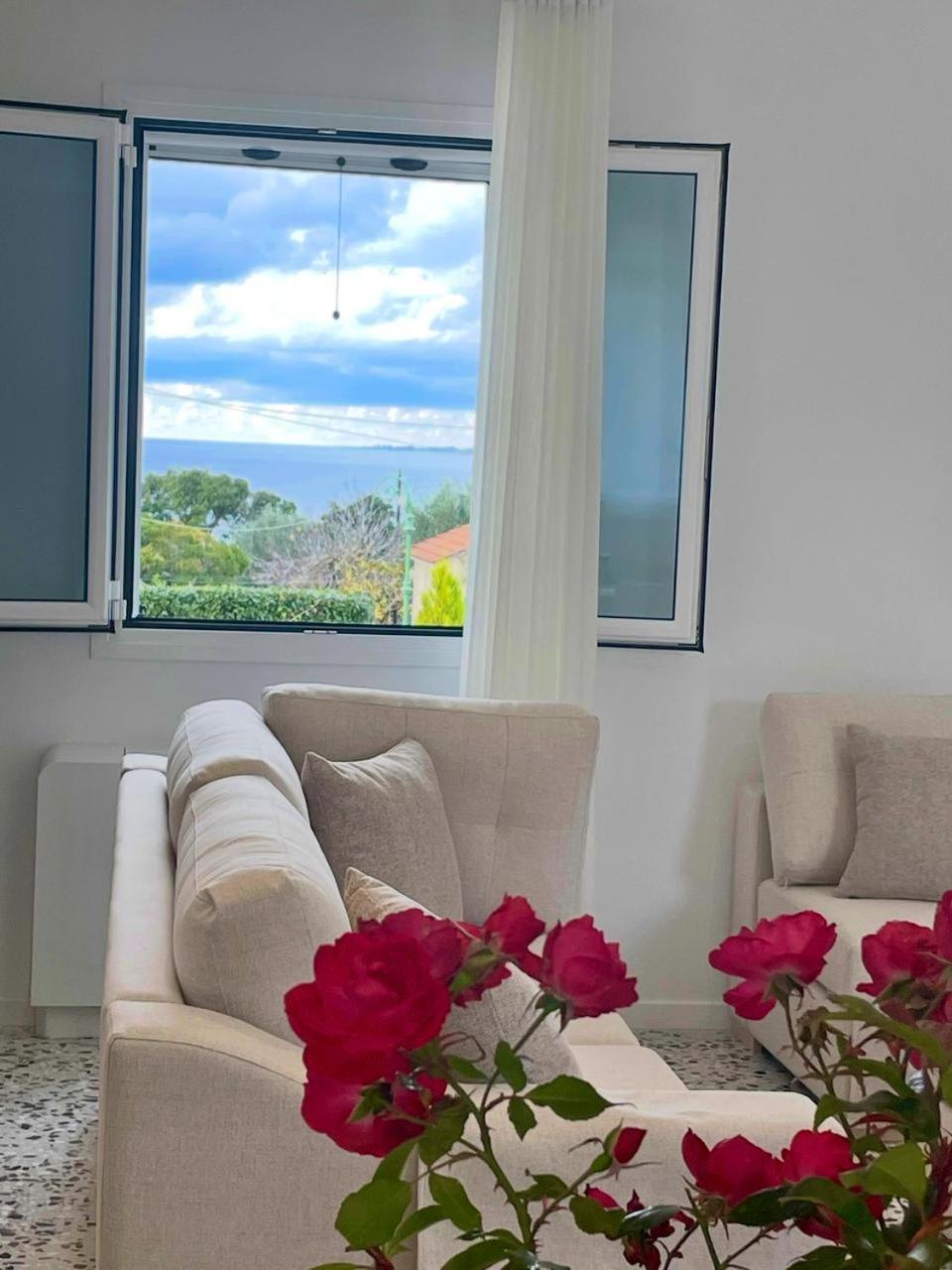 Angeliki Apartment Lassi (Kefalonia)