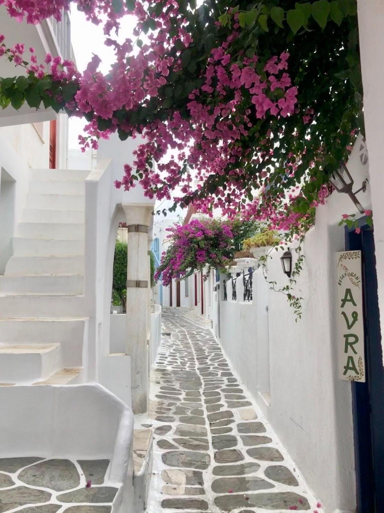 Vanita Agios Ioannis Mykonos Villa Agios Ioannis Diakoftis