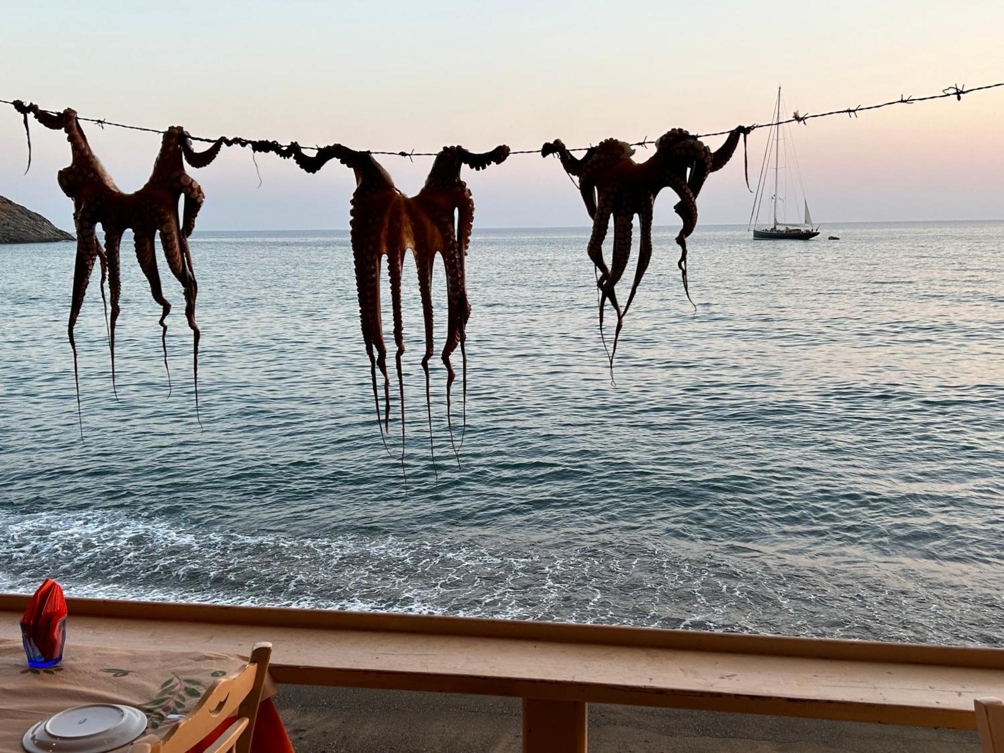 Ocean View And Luxury Apartment