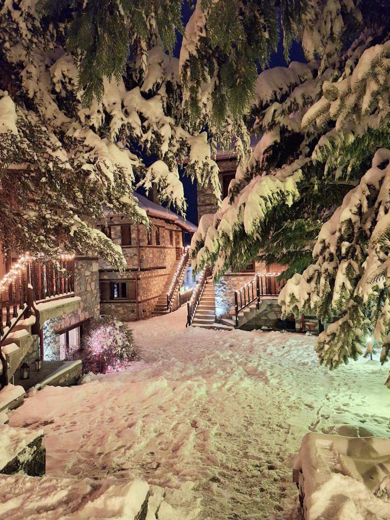 Chalet Nemesis *