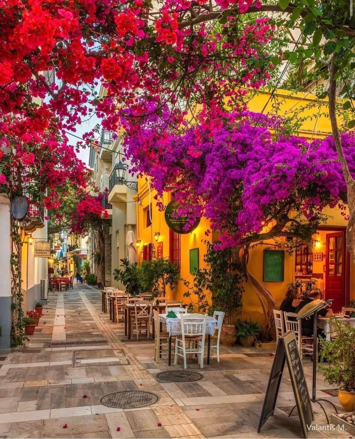 Artemis Nafplion Tolo