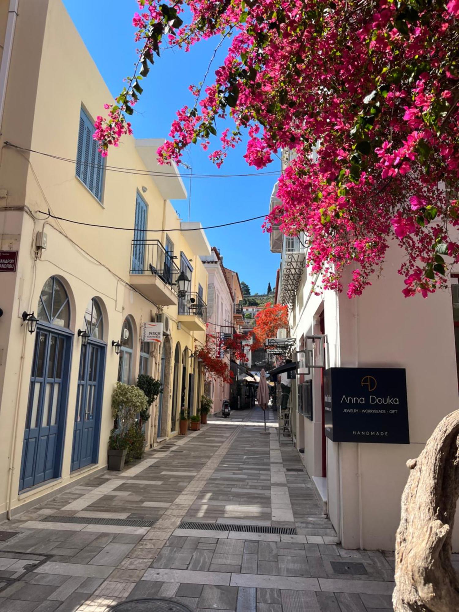 Villa Artemis Nafplion *