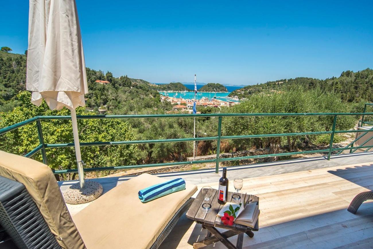 Dream View