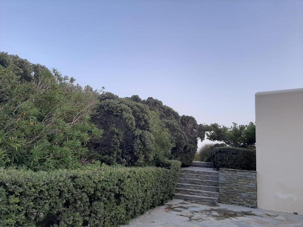 Andros Eco Apartment