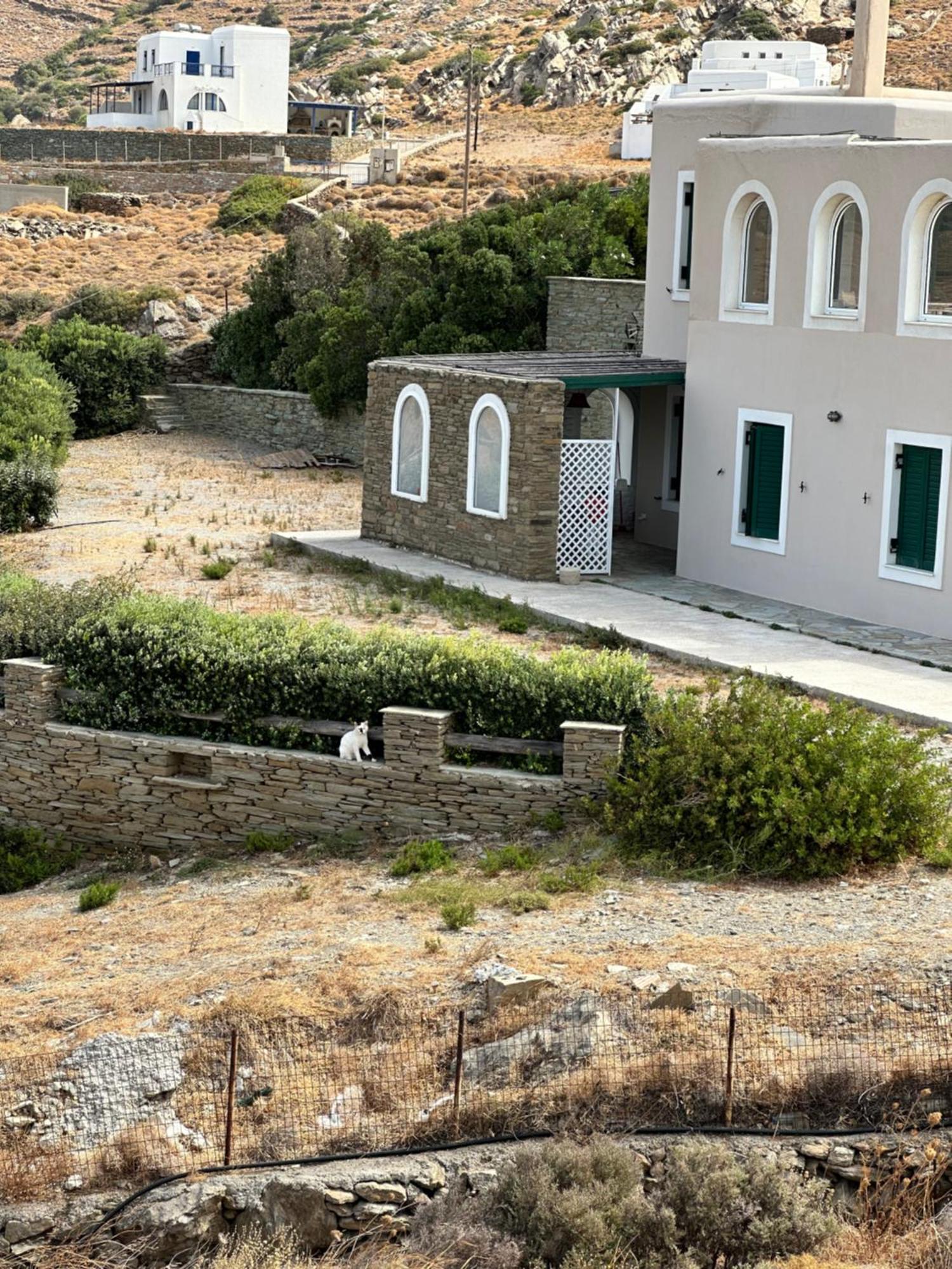 Andros Eco Apartment Gavrio