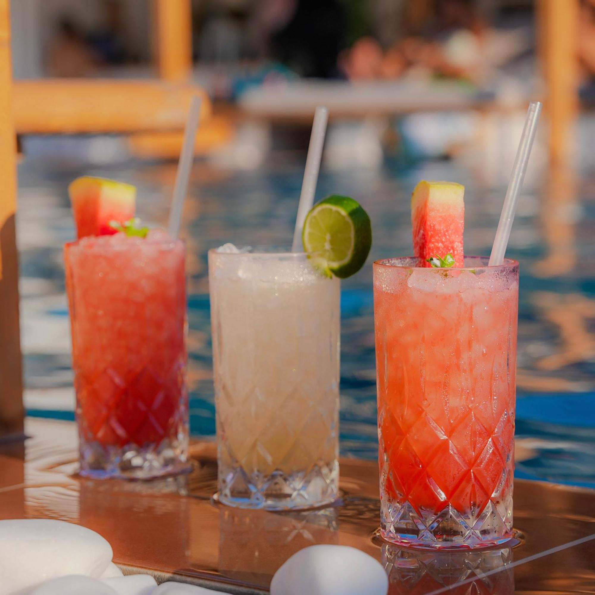Hotel Spongia &