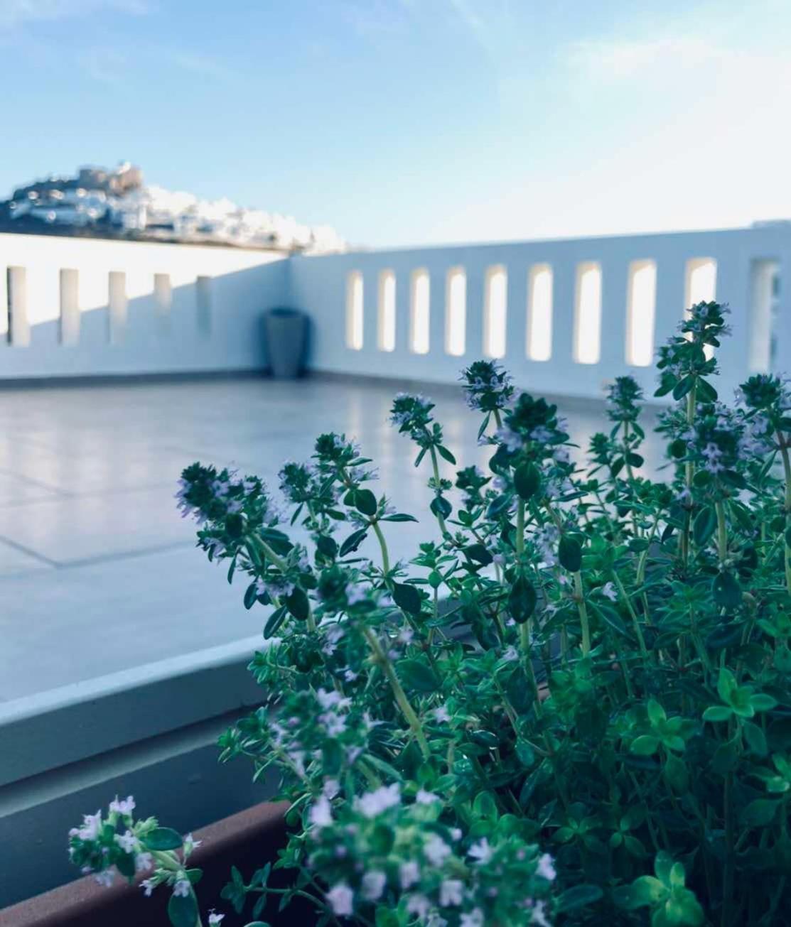 Bella Vista Blue, Verde, Veranda Sunset Holiday home