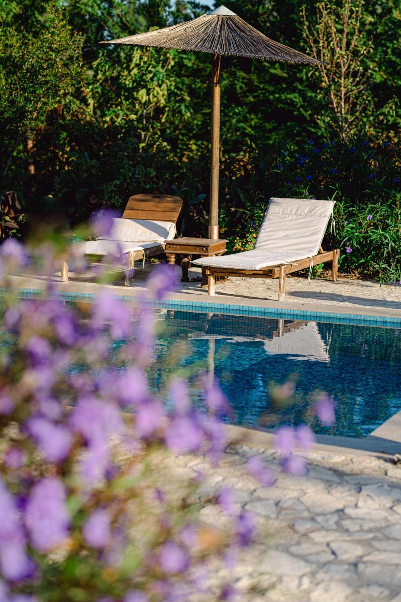 Villa Agro Art Boutique & Luxury - Two Art With Pools, Unique Decors, And A Treehouse Option