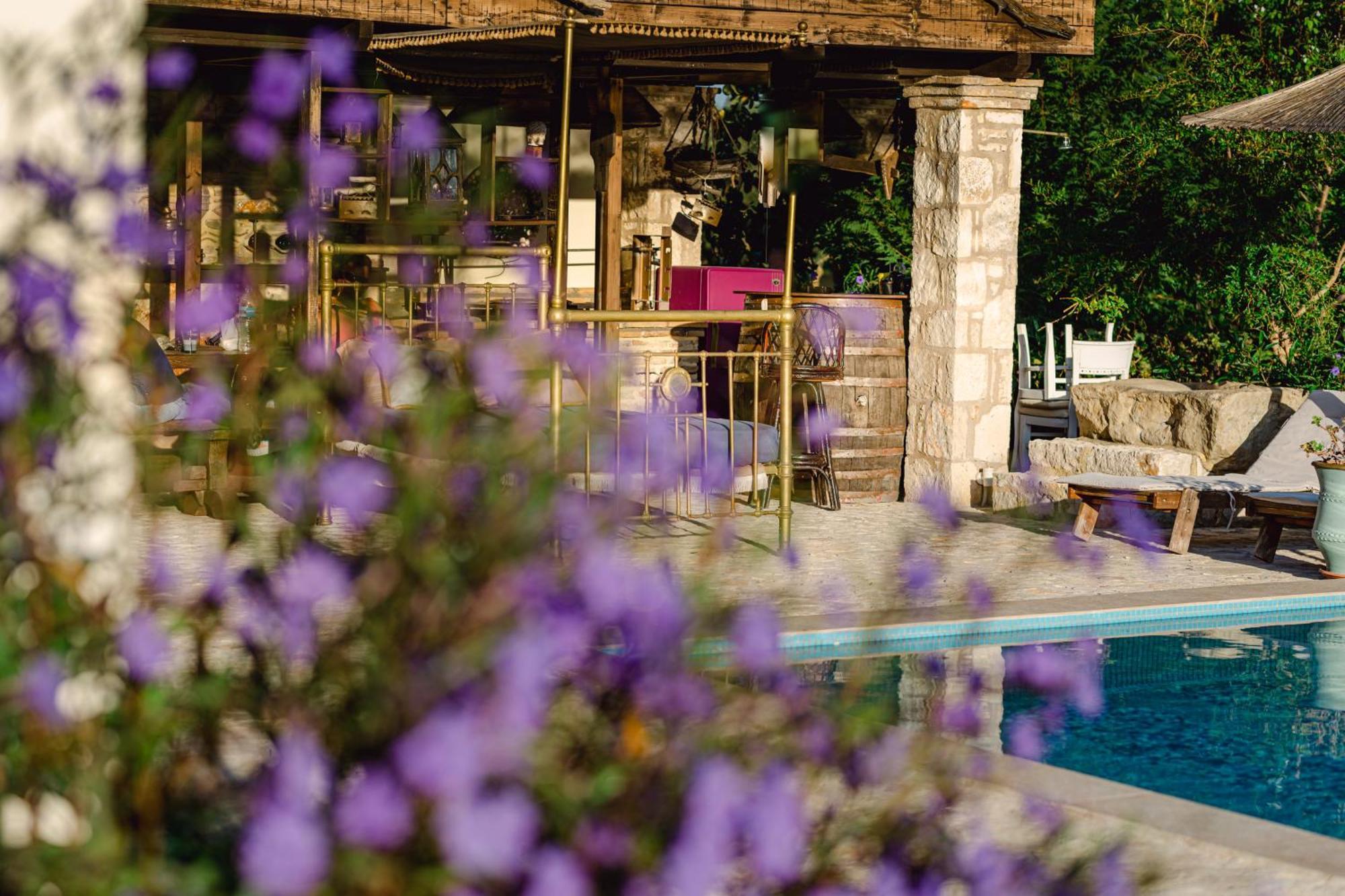 Agro Art Boutique & Luxury - Two Art With Pools, Unique Decors, And A Treehouse Option * Vanato