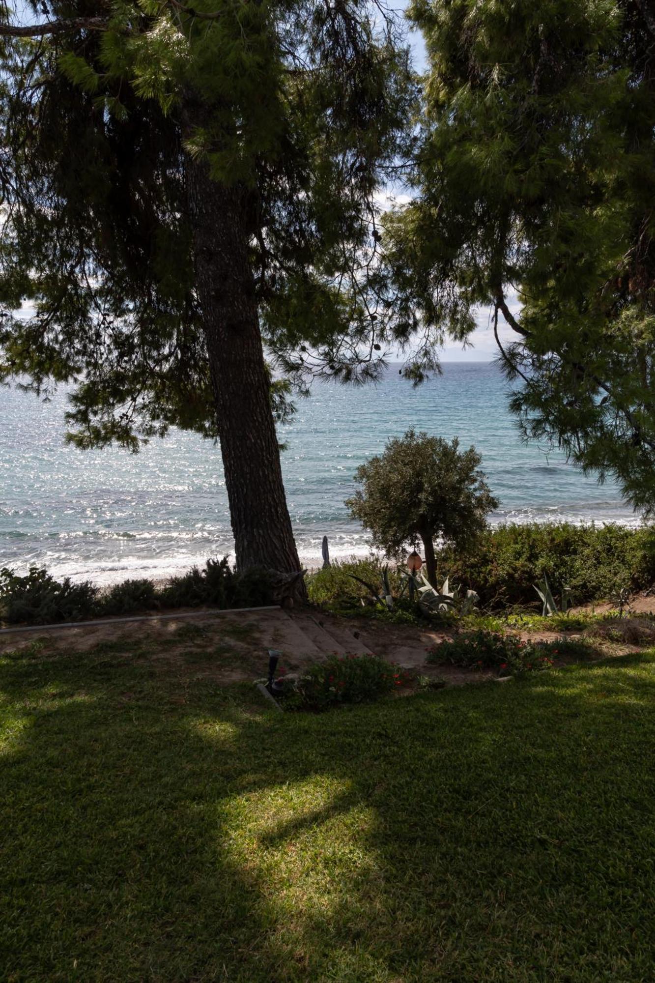 Halkiddiki-kassandra-mola Kalyva Traditional House In Front Of The Sea Holiday home *