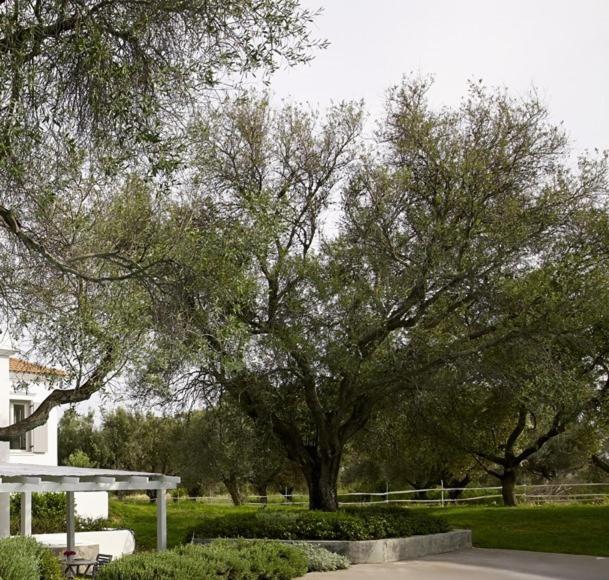 Olivemare Hotel 3*