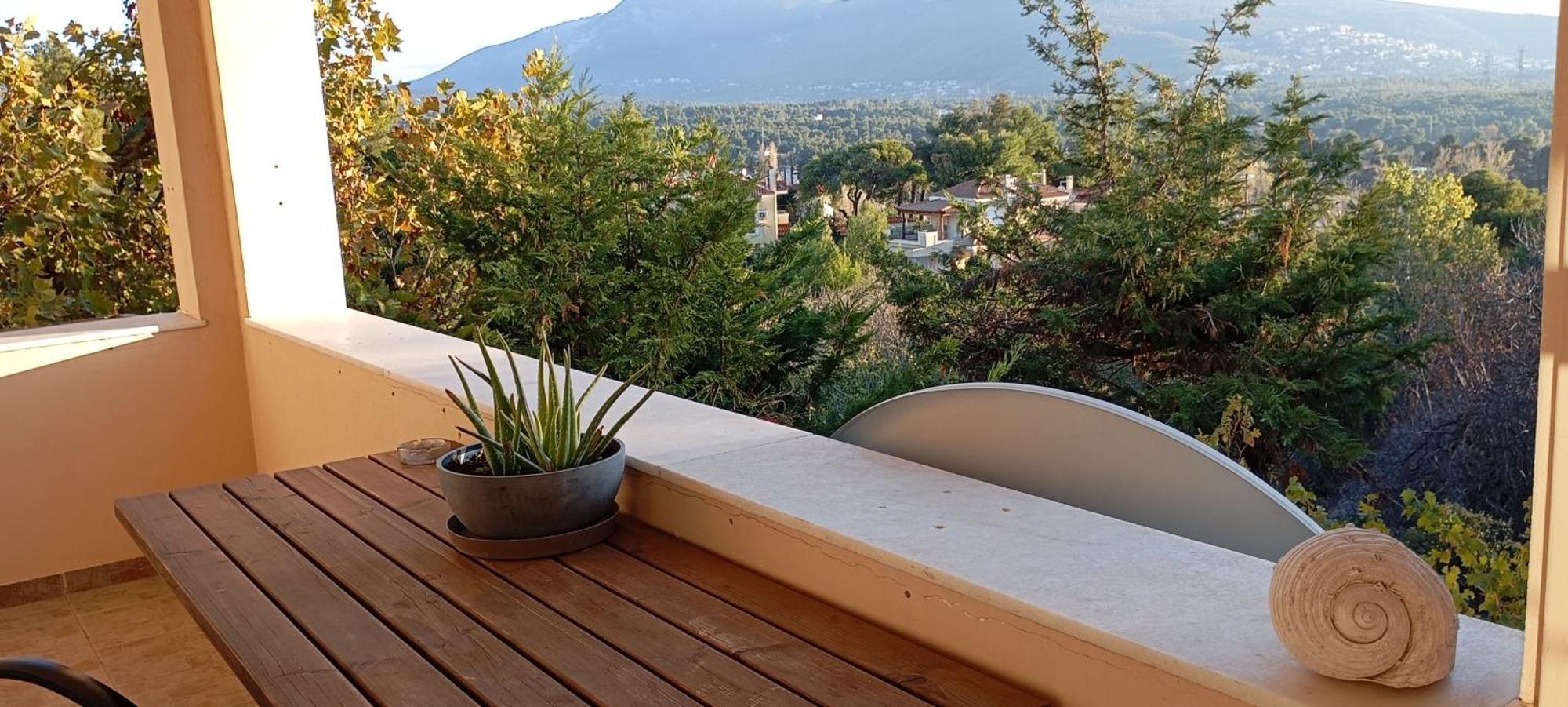 Apartment Bio Land Athens