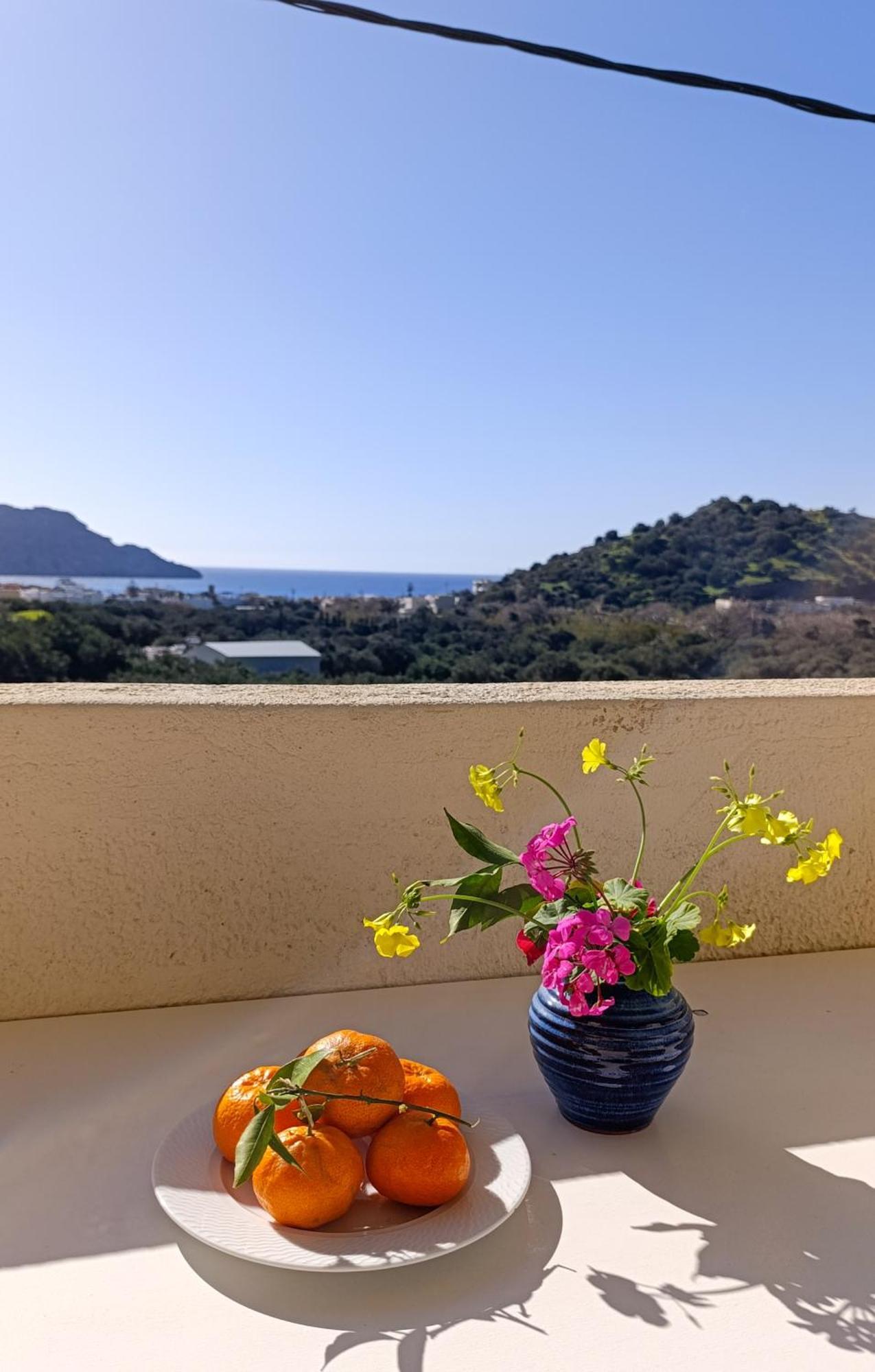 Antonis Apts, Physio Fitness Retreats Plakias